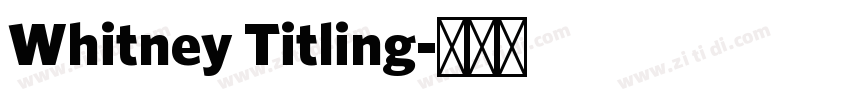 Whitney Titling字体转换